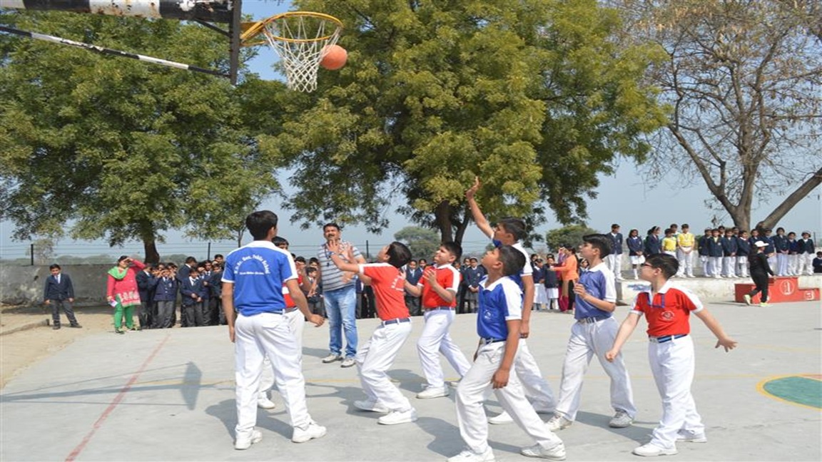 Sports & Athletics